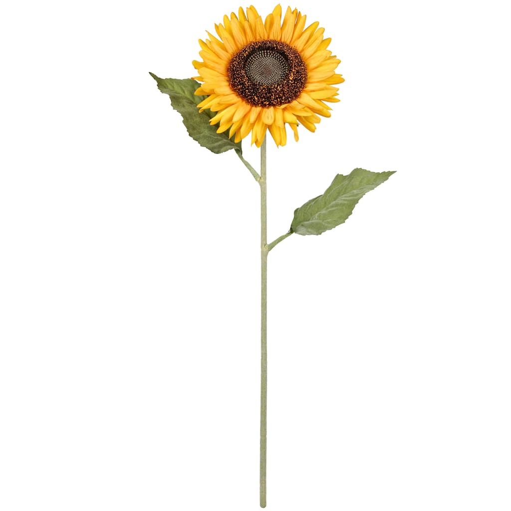 Buy the Sunflower Stem By Ashland® at Michaels Buy the Sunflower Stem By Ashland® at Michaels